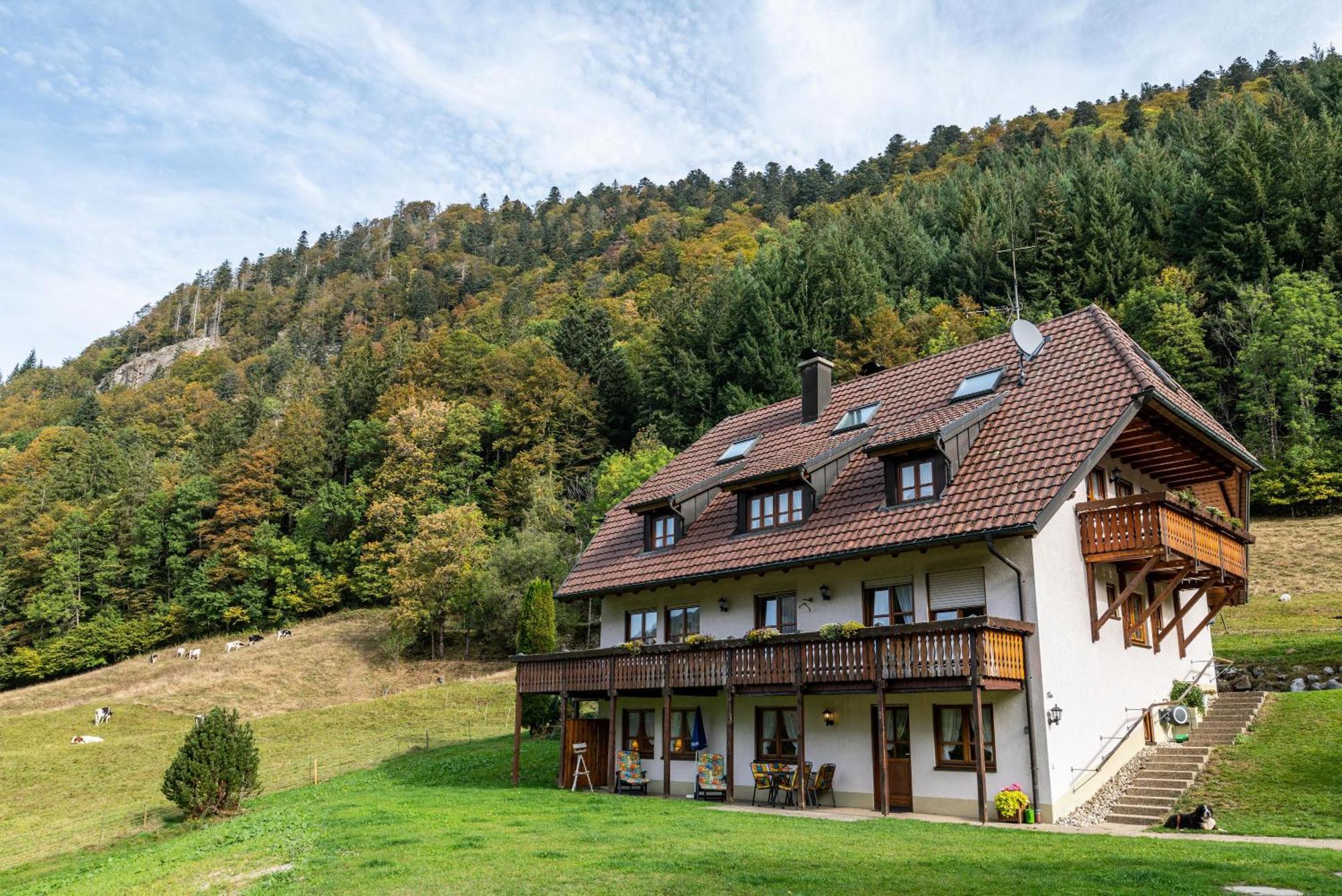 Gasthaus Zur Linde- Napf Oberried  Exterior photo